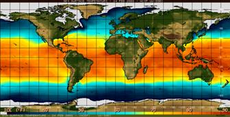 圖2.僧帽水母生活在大西洋、太平洋、印度洋和加勒比海等溫暖海域(擷取自nationalgeographic)