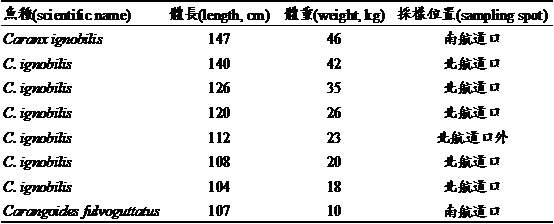 104年5~6月東沙環礁國家公園海域大型洄游魚類採樣標識結果。