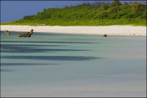 圖片1東沙島擁有廣大以及未受人為干擾的沙灘是海龜最佳的產卵地