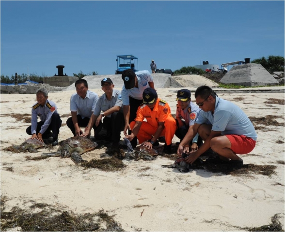 海洋國家公園管理處楊模麟處長(右3)、行政院海巡署南巡局許靜芝副局長(右2)及東沙相關單位共同野放救傷康復的海龜。