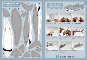 檸檬鯊DIY