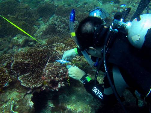 海管處在四島海域建立永久測站，同時進行遊客水上遊憩活動繫船浮球設置地點的評估。