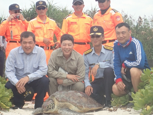 全島官兵共同參與野放海龜照片