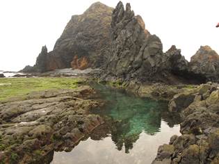 澎湖南方四島為玄武岩火山島，島周潮間帶較短且，多在潮池內可發現較豐富的生物相