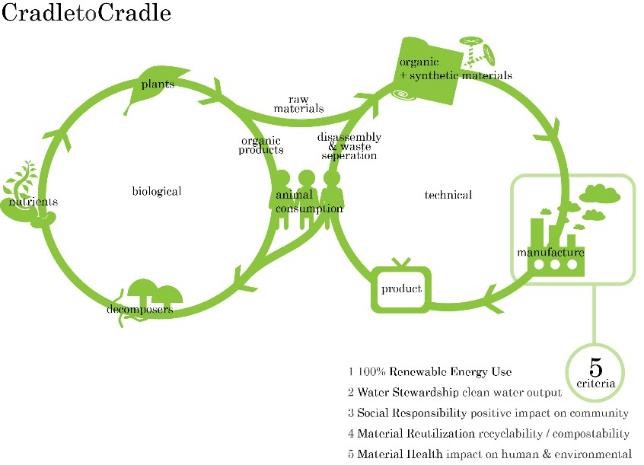 搖籃到搖籃的生物和技術設計概念流程圖