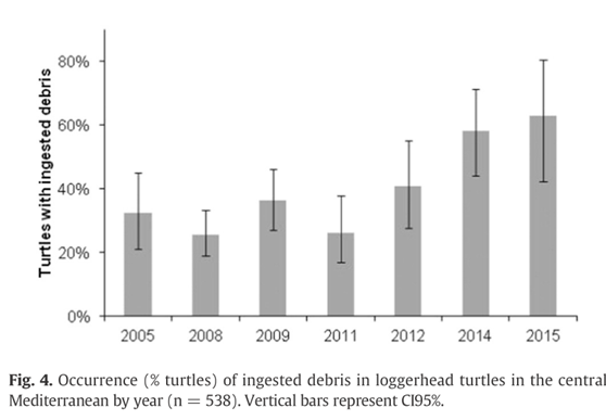 地中海的研究機構於2005-2015年間針對誤食垃圾的海龜進行統計數據分析（圖片由李宗賢獸醫提供）