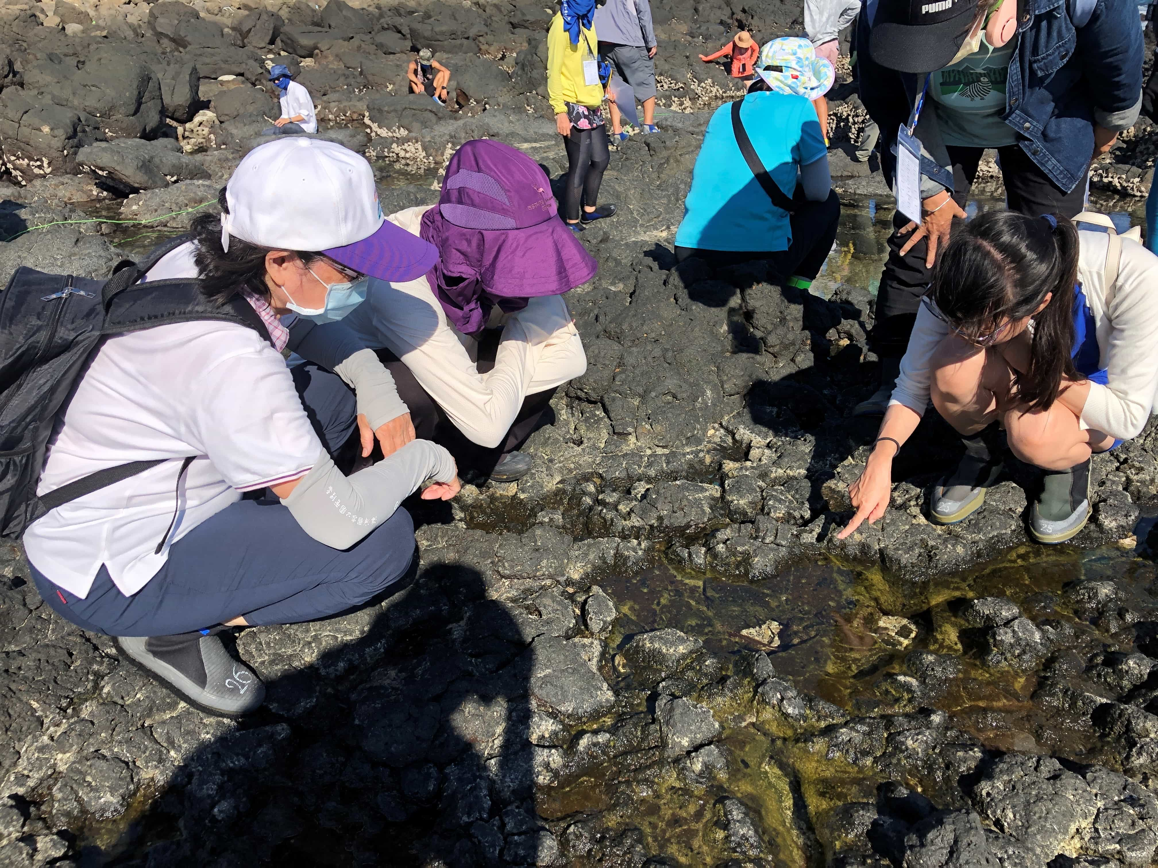 圖說：民眾近距離觀察潮間帶生物